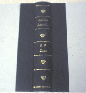 The spine cloth on the boards.