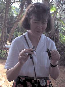 Ann with 2 two day old turtles
